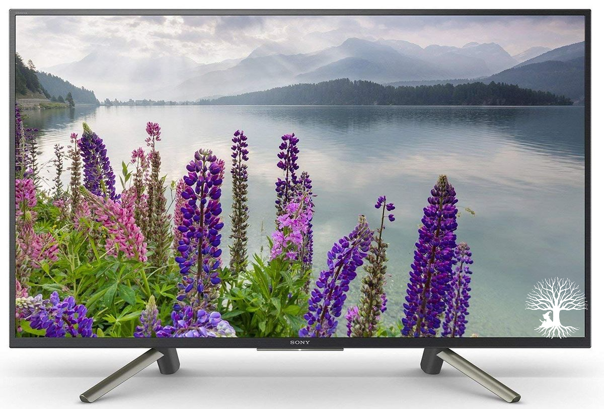 SONY KDL-43W6603 43-inch Smart TV